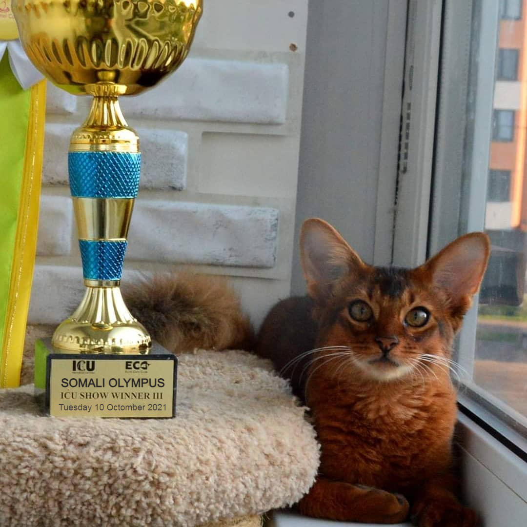 somali olympus