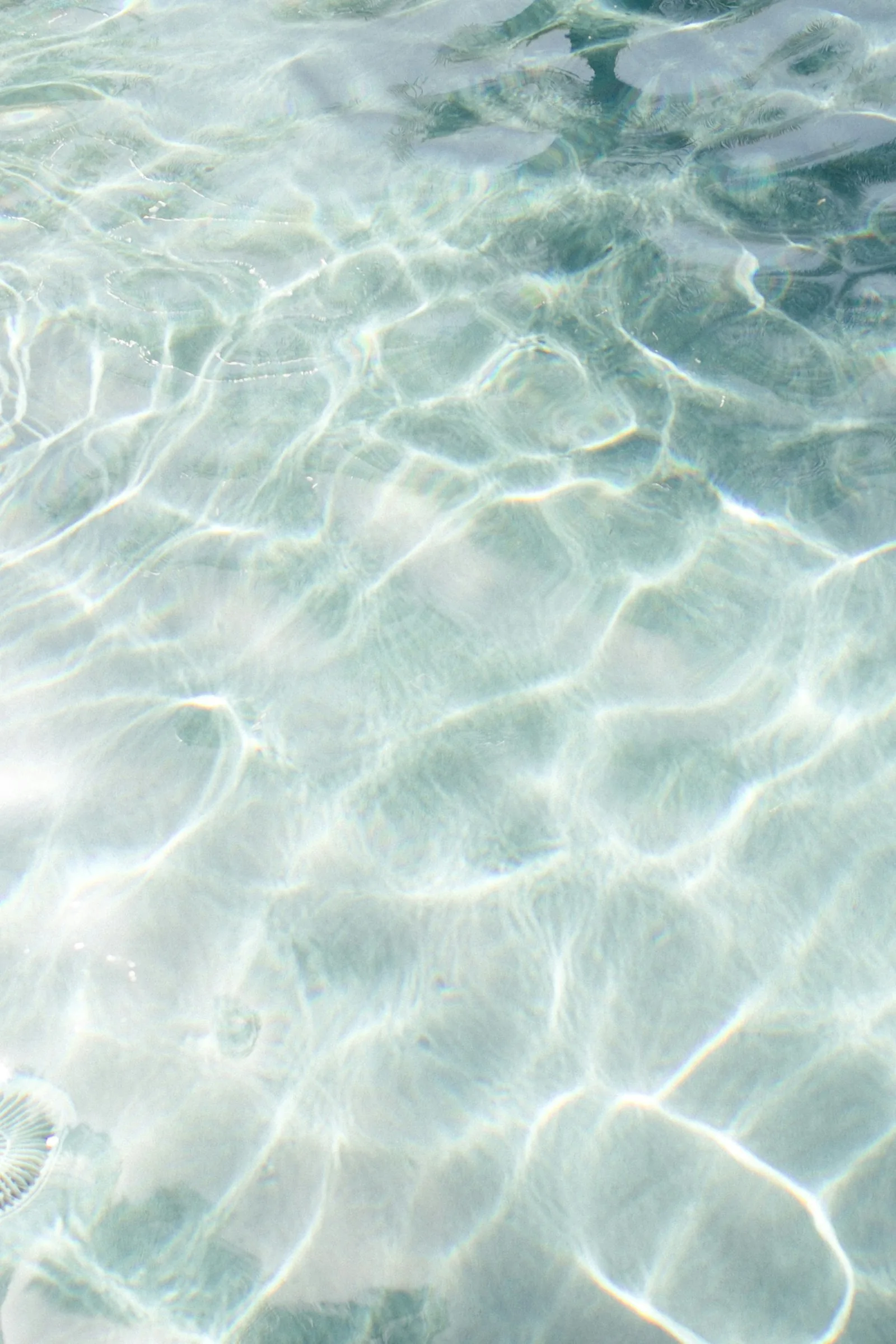 Sunlight rippling through clear, shallow turquoise water over a pale sandy bottom, New Beach journal