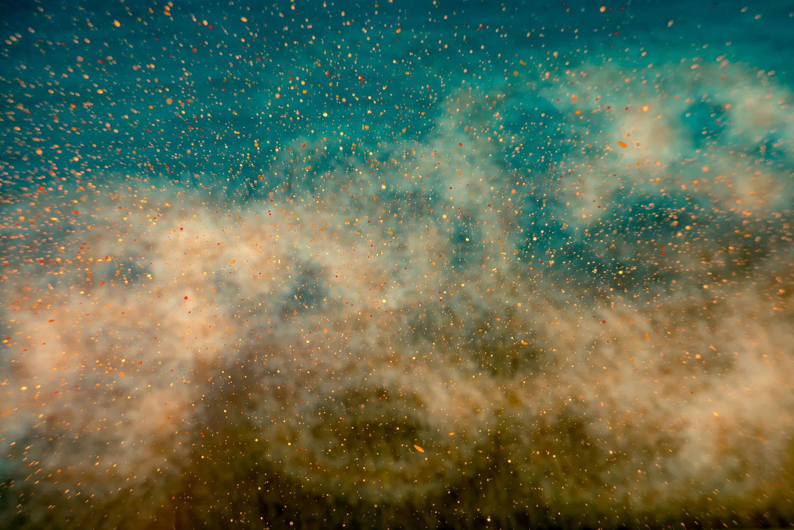 A spray of golden particles suspended against a deep teal background, New Beach journal