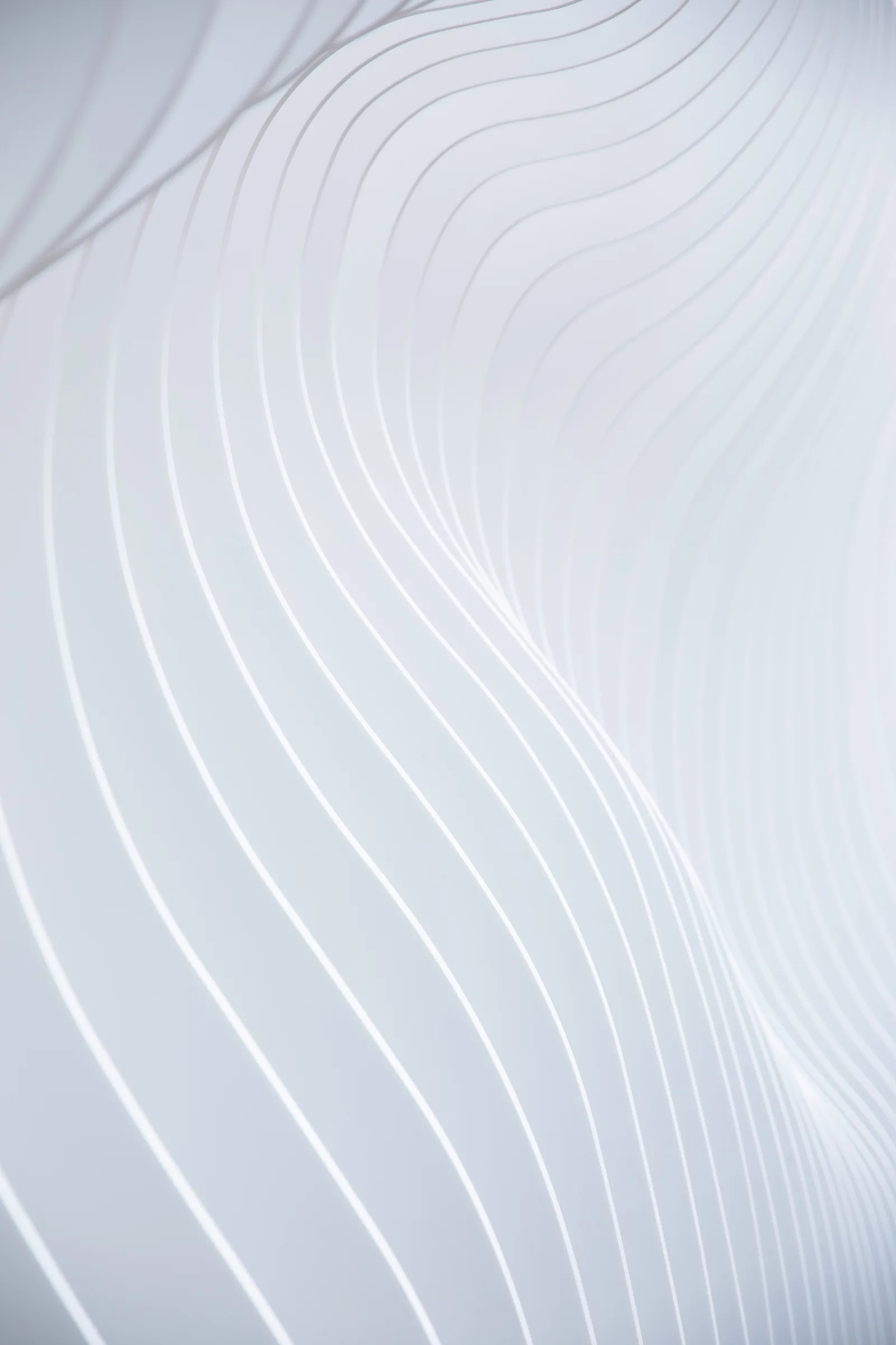 White curved architectural fins sweeping across the frame in soft light, New Beach journal