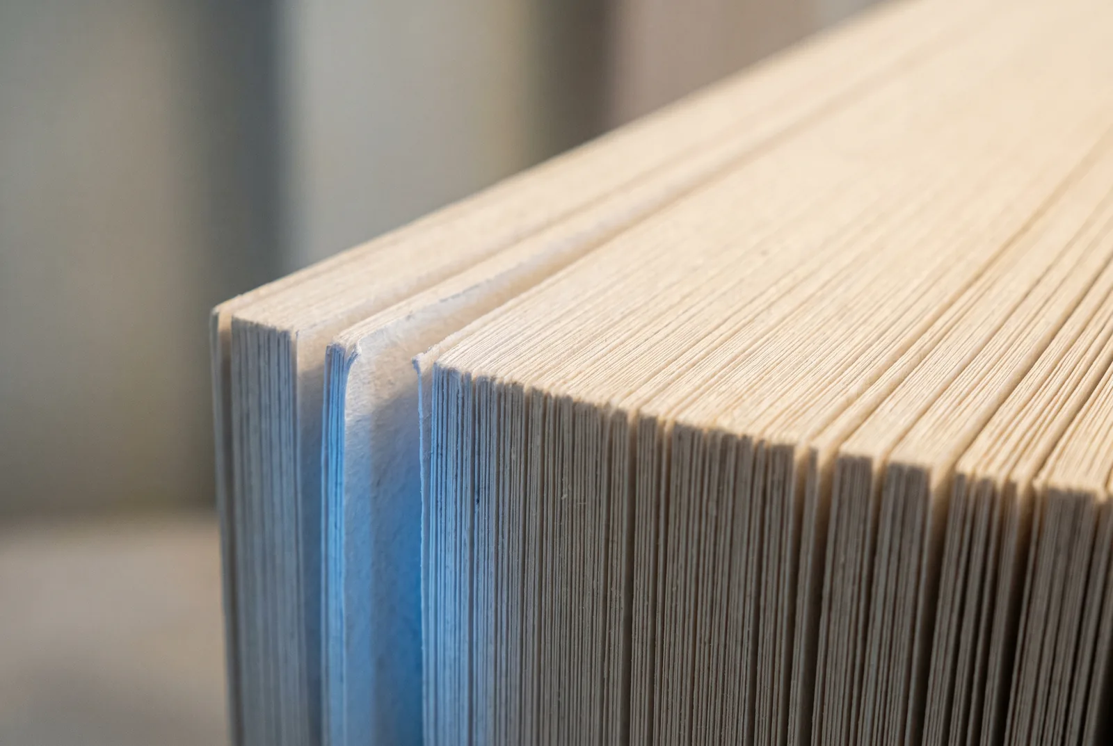 Close-up of the edges of a thick stack of cream paper, with one blue sheet running through it, New Beach journal