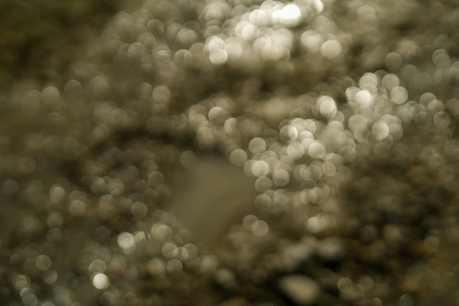 Soft out-of-focus circles of light in olive and grey, an abstract bokeh texture, New Beach journal