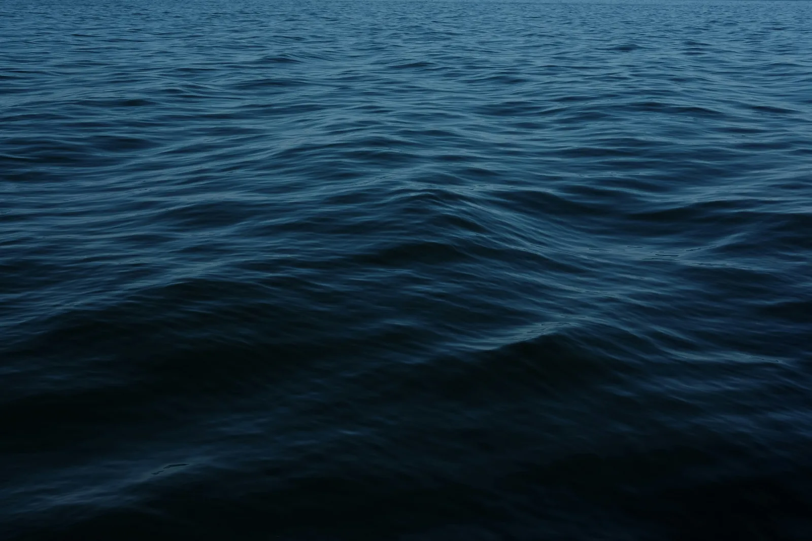 Open ocean at dusk, dark blue water with a low swell running to the horizon, New Beach journal