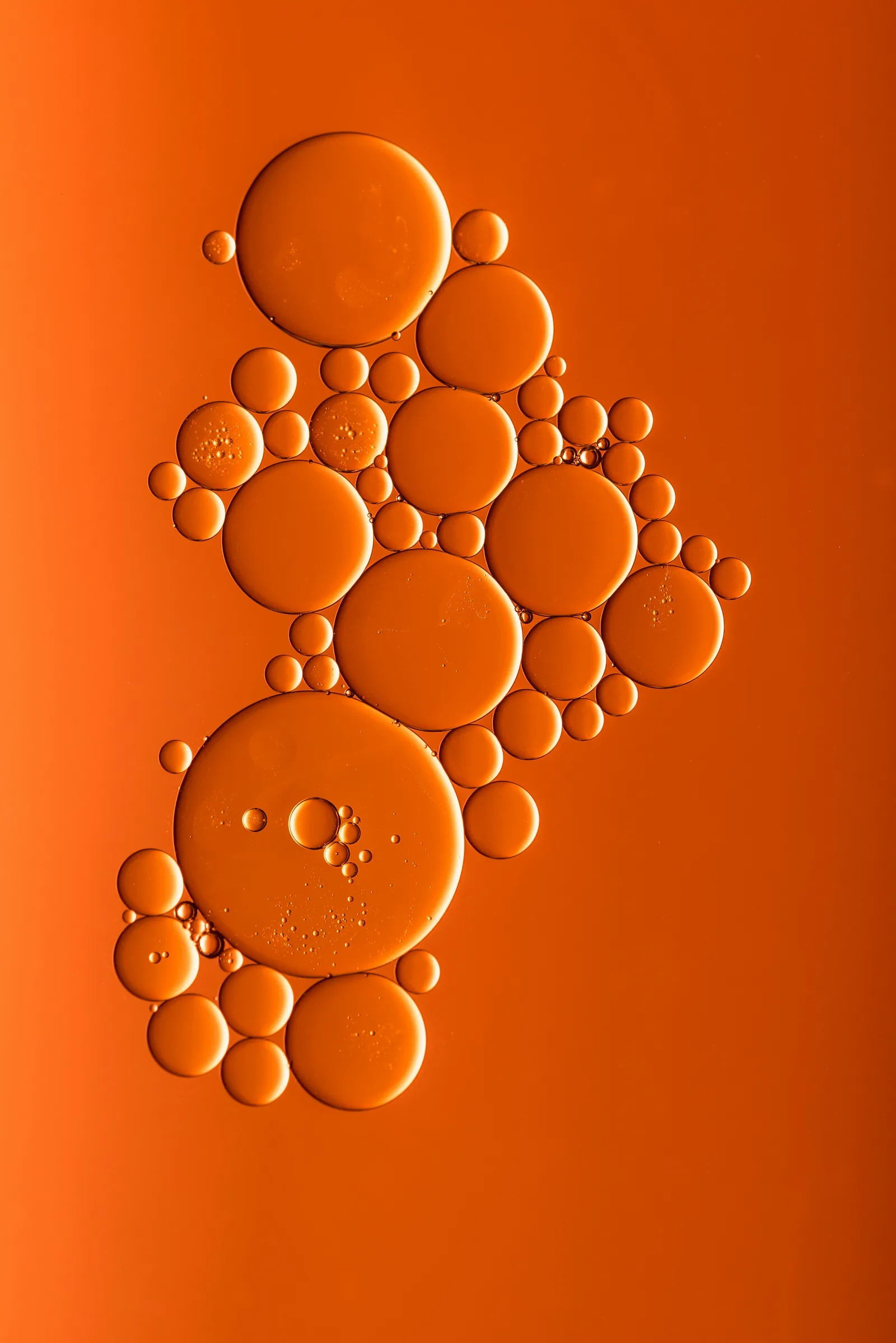 Clustered oil droplets photographed against a bright orange background, New Beach journal