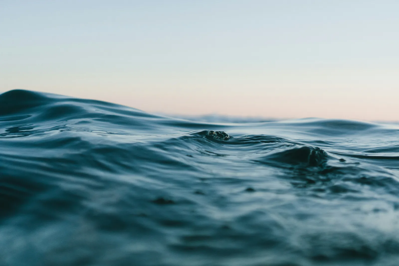 The surface of the sea at eye level at dusk, a low swell under a pale sky, New Beach journal