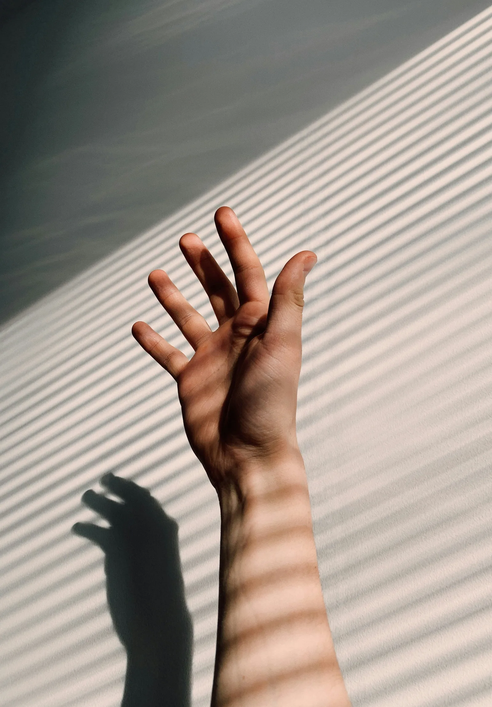 A hand reaching upward into sunlight, with striped shadows from window blinds falling across a pale wall, New Beach journal