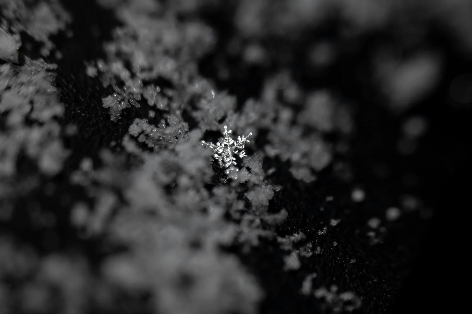 Macro photograph of a single snowflake resting on a dark frost-covered surface, New Beach journal