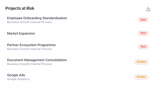 Screenshot of Project Director's risk tracking view showing flagged risks with assigned owners and status