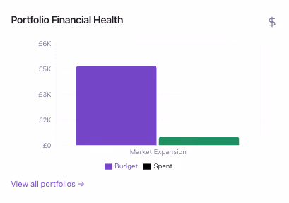 Screenshot of Project Director's budget versus actual report across portfolio, programme and project levels