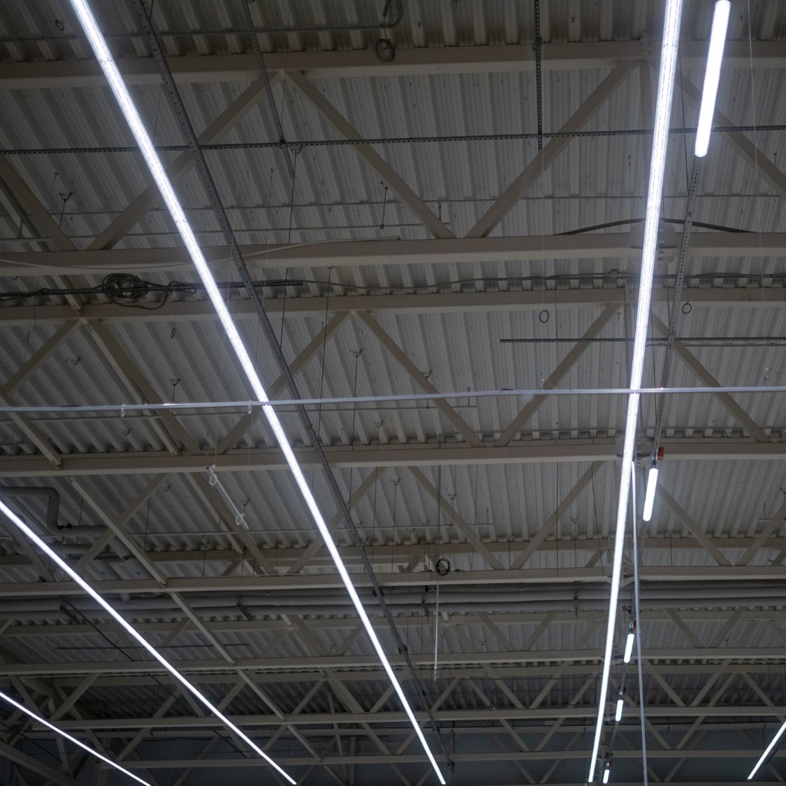 Pattern of fluorescent ceiling light fixtures in a commercial space — fluorescent lighting service for Chicago businesses