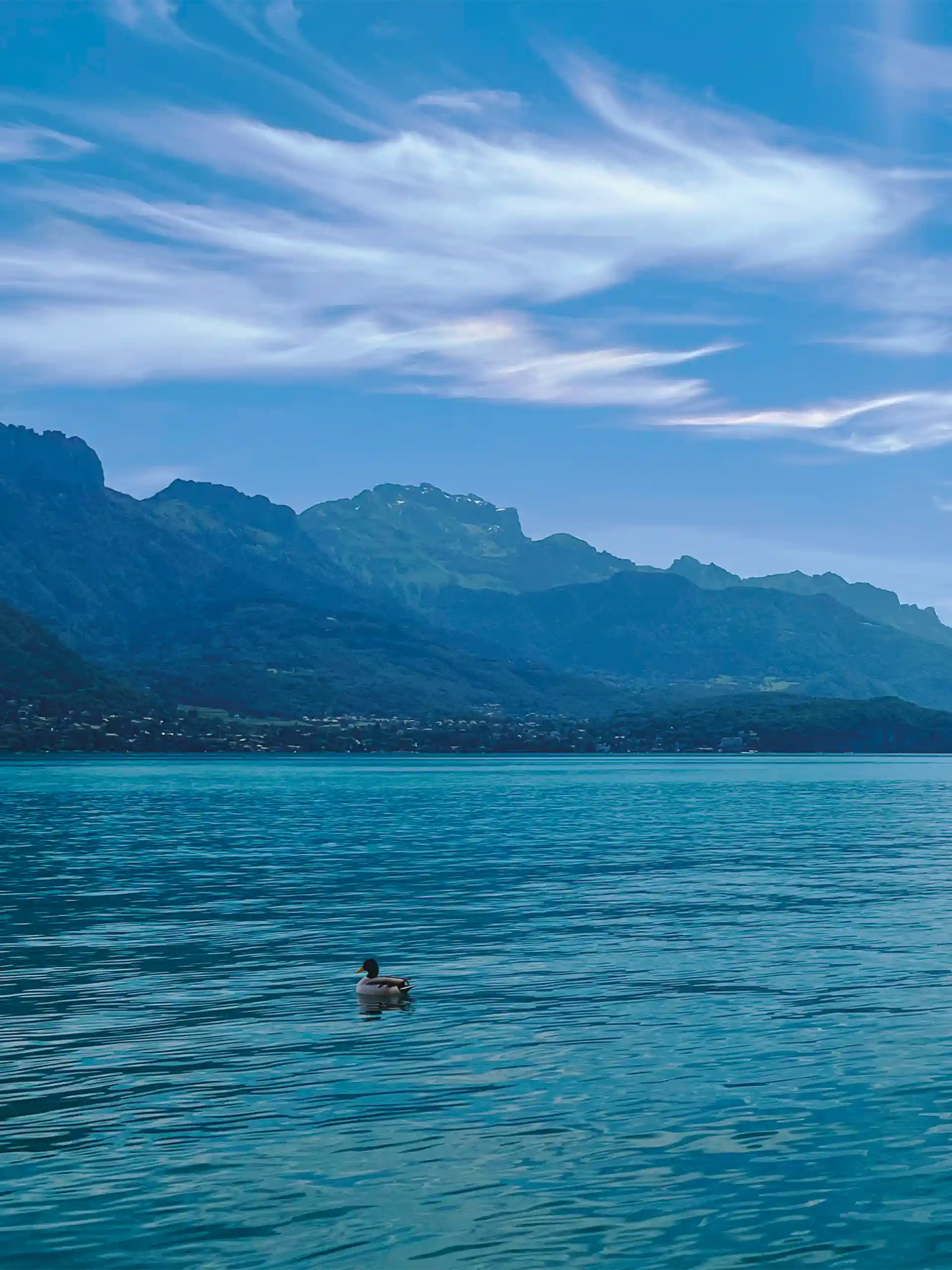vue sur le lac d'Annecy