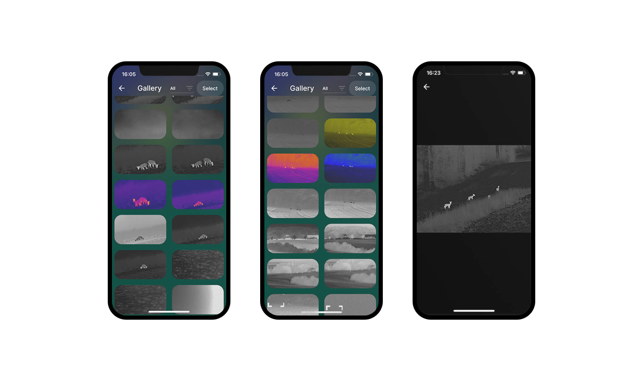 Drei Smartphone-Bildschirme zeigen eine Galerie mit Infrarot- und Wärmebildern von Tieren und Landschaften.