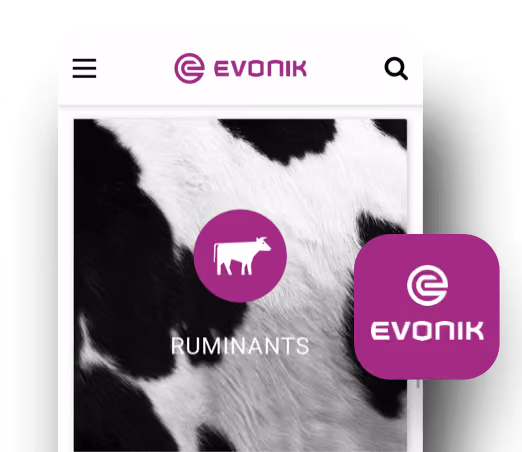 Mobile screen with Evonik logo and icon of a cow labeled 'RUMINANTS' on cowhide background.