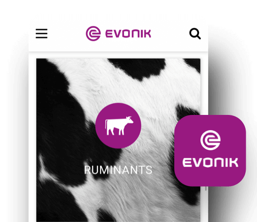 Mobile screen with Evonik logo and icon of a cow labeled 'RUMINANTS' on cowhide background.