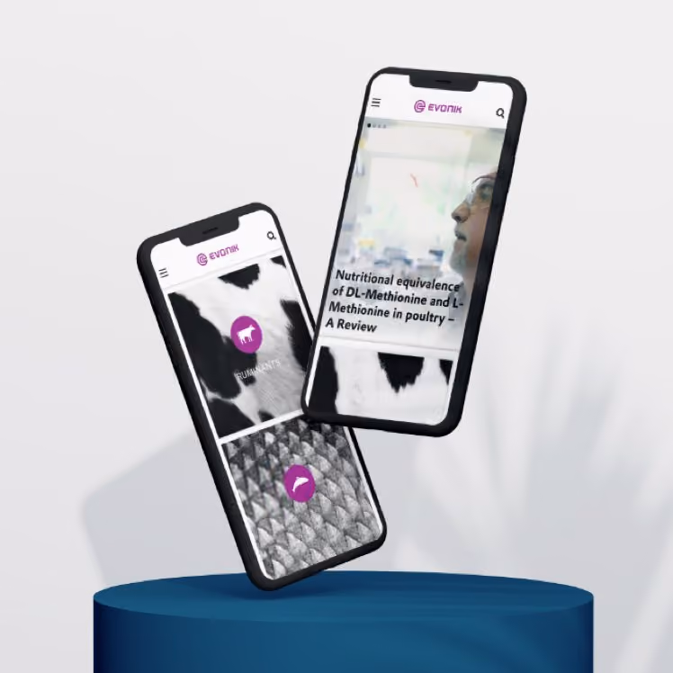 Zwei schwebende Smartphones zeigen die Evonik-Website mit Inhalten zu Futtermitteln und Methionin in Geflügel.