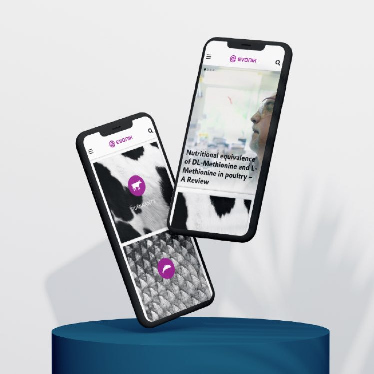 Zwei schwebende Smartphones zeigen die Evonik-Website mit Inhalten zu Futtermitteln und Methionin in Geflügel.