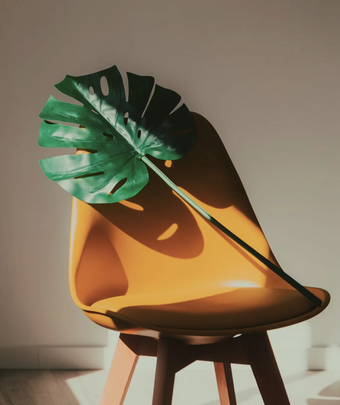 Portfolio Image