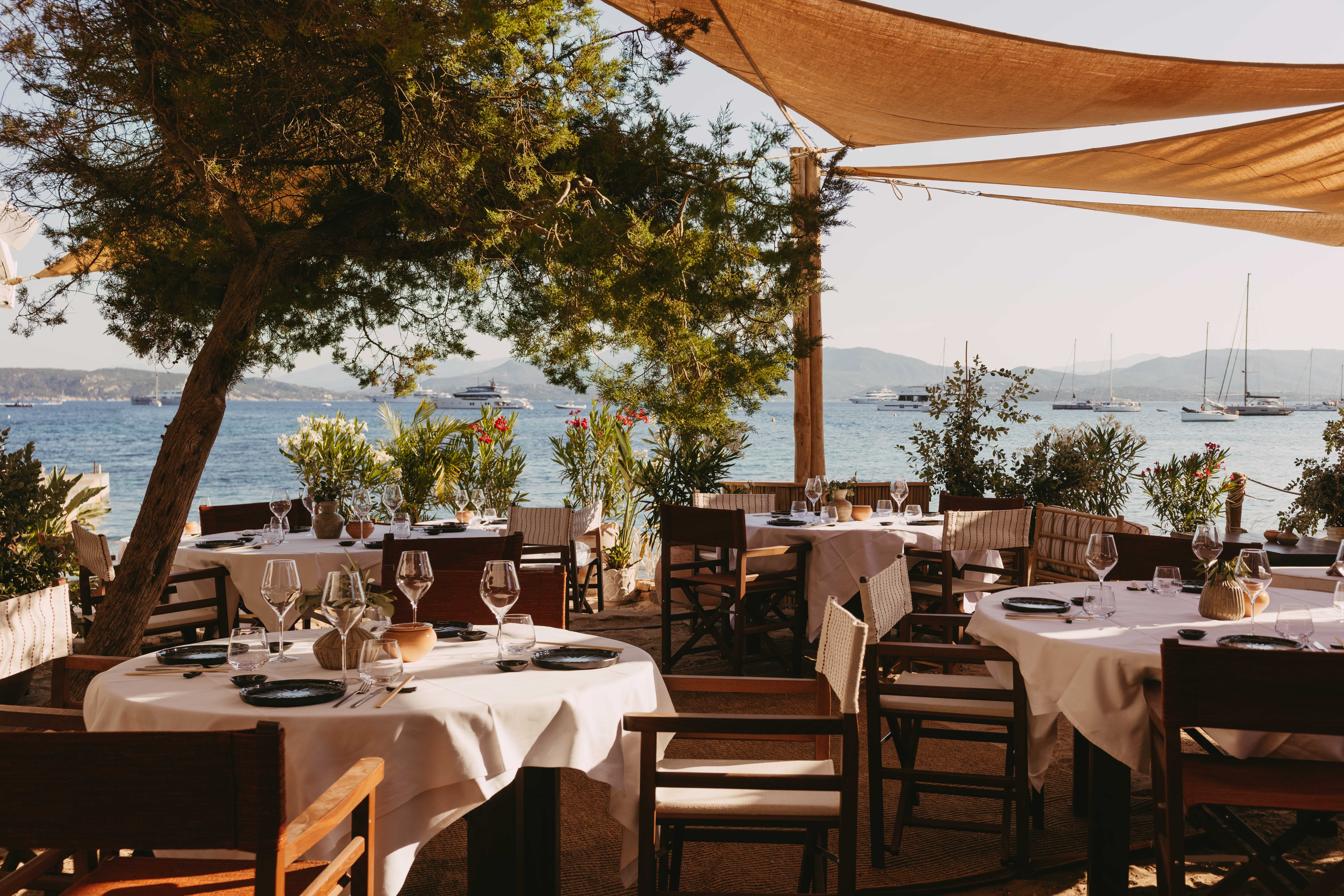 Terrasse de restaurant en bord de mer, tables rondes nappées de blanc sous un pin et une voile d'ombrage, vue sur des voiliers et yachts au mouillage.