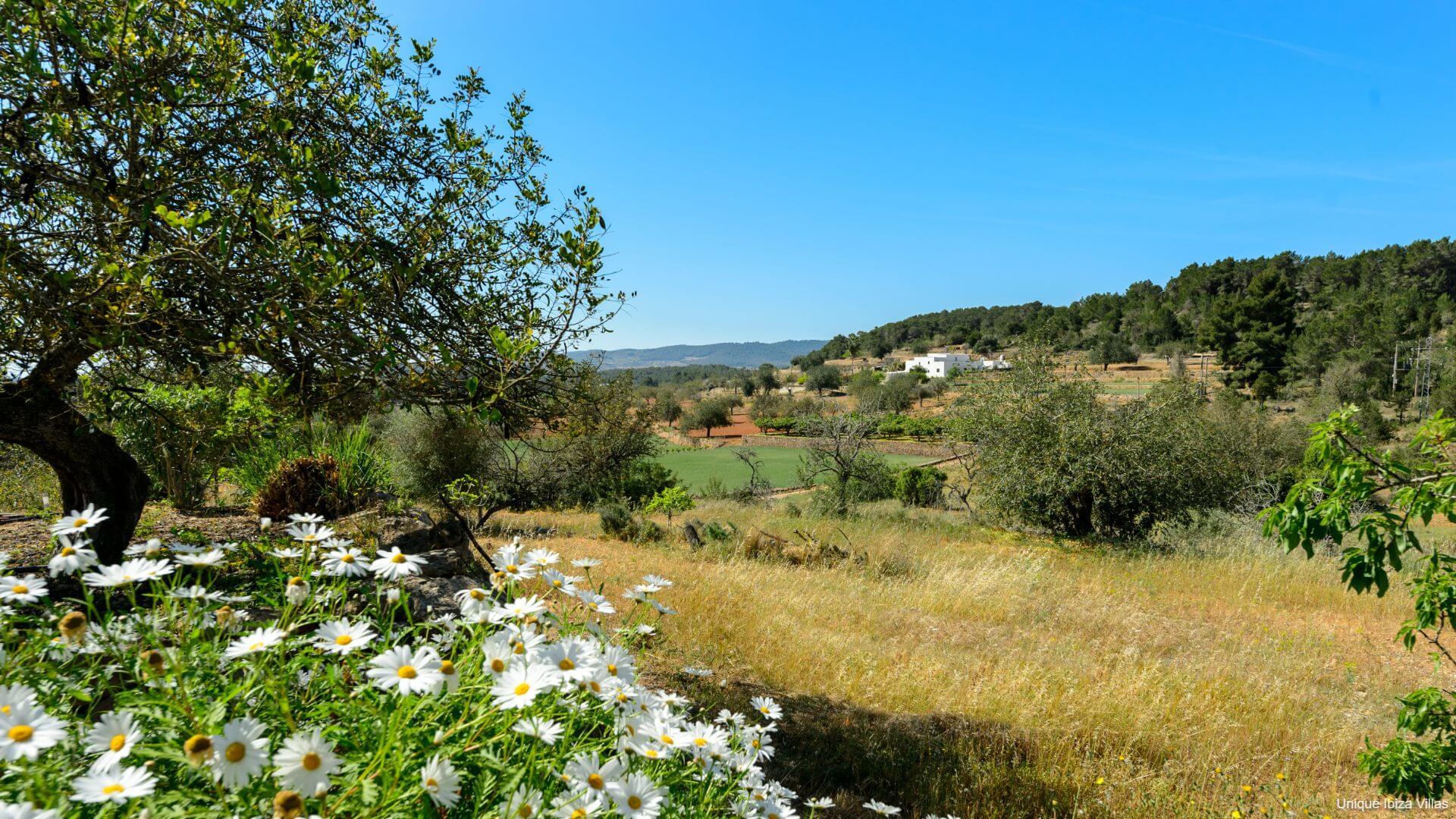 San Mateo