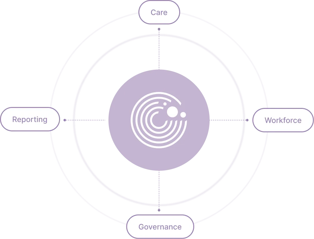 Circular diagram with central purple circle and four labeled areas: Care, Workforce, Governance, Reporting.