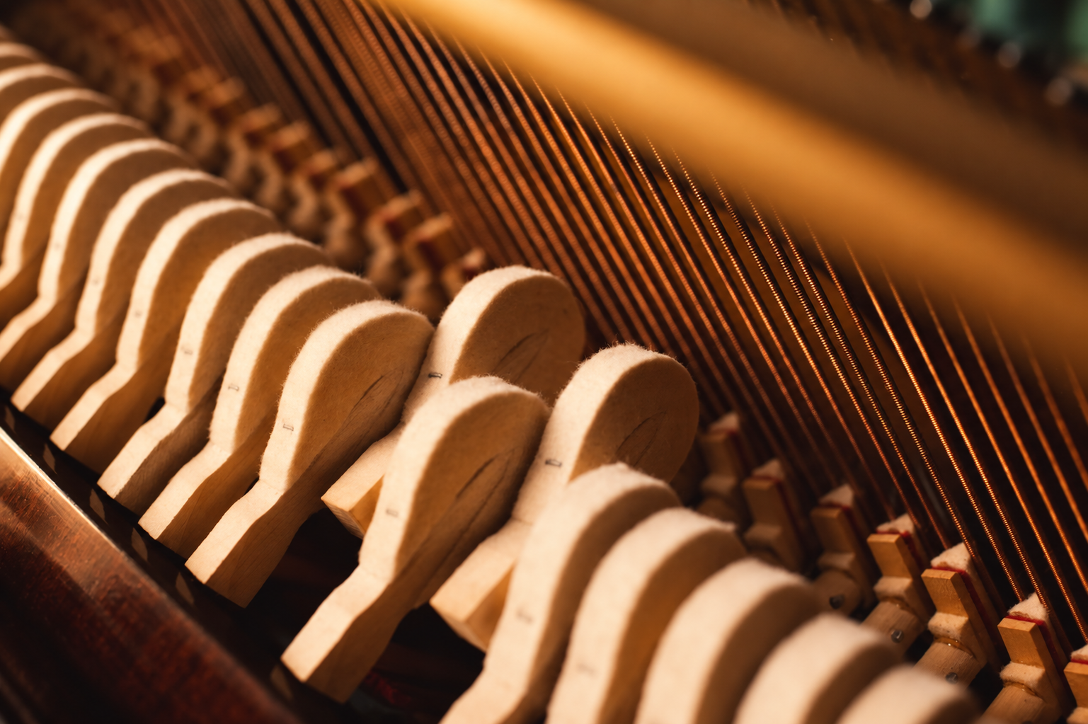 Travail d’harmonisation sur les marteaux d’un piano