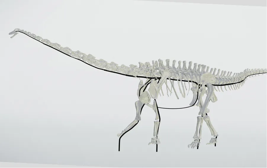 3D-Modell der Stahlkonstruktion für ein Diplodocus-Skelett