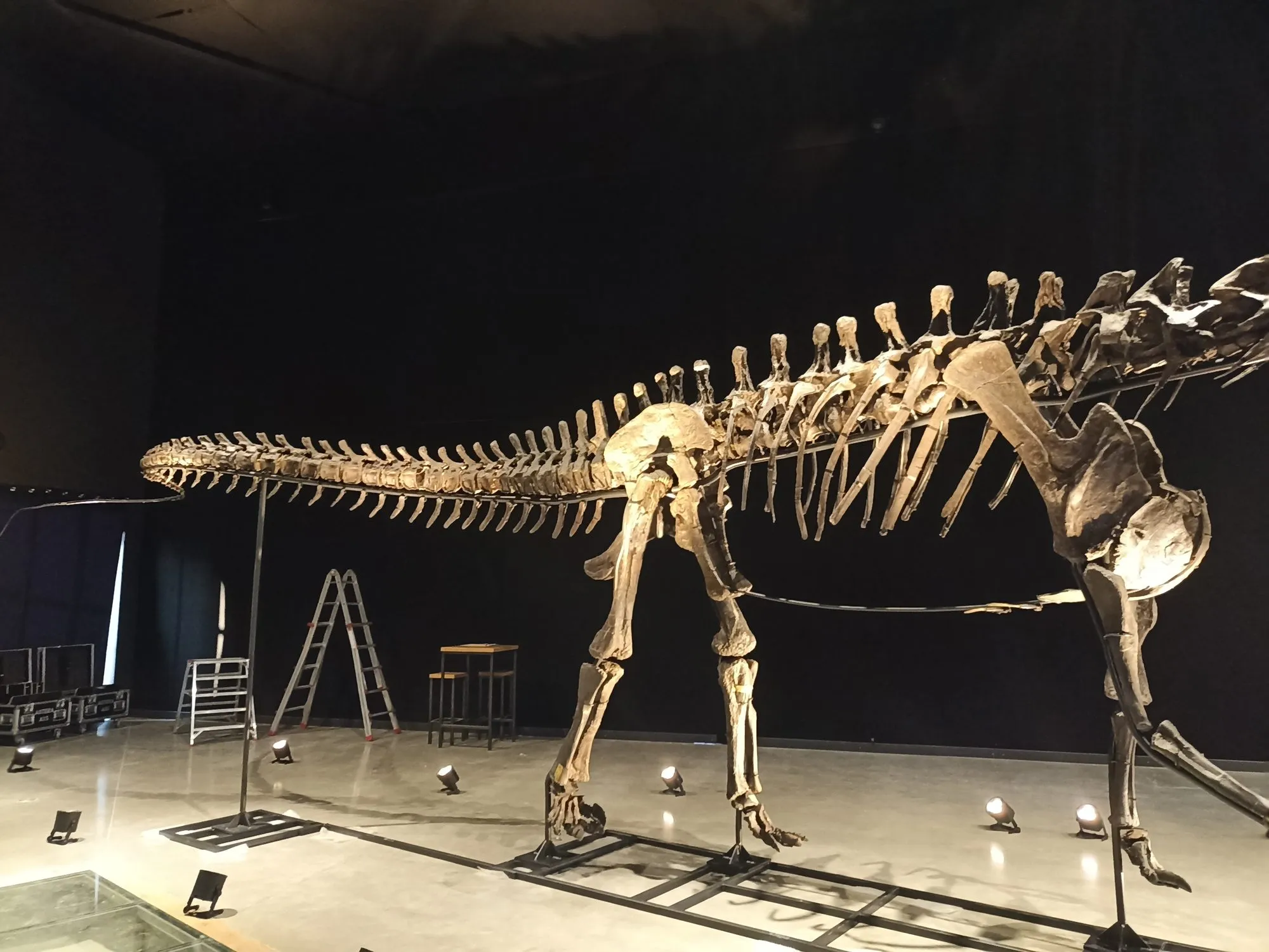 Sonderanfertigung von Metallbau Meier – Stahlkonstruktion für ein Diplodocus-Skelett