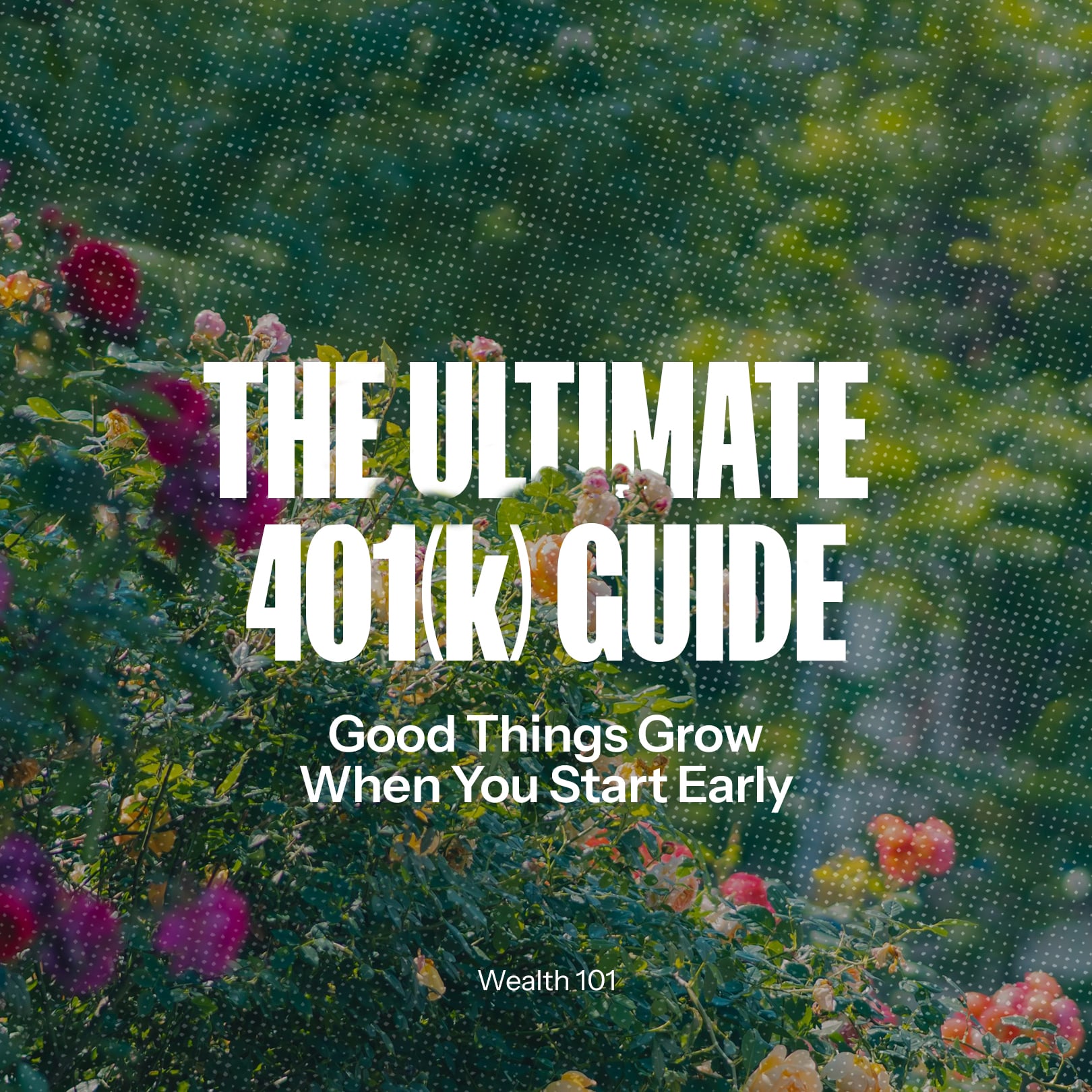 Siebert resource card for Everything You Need to Know About Your 401(k)