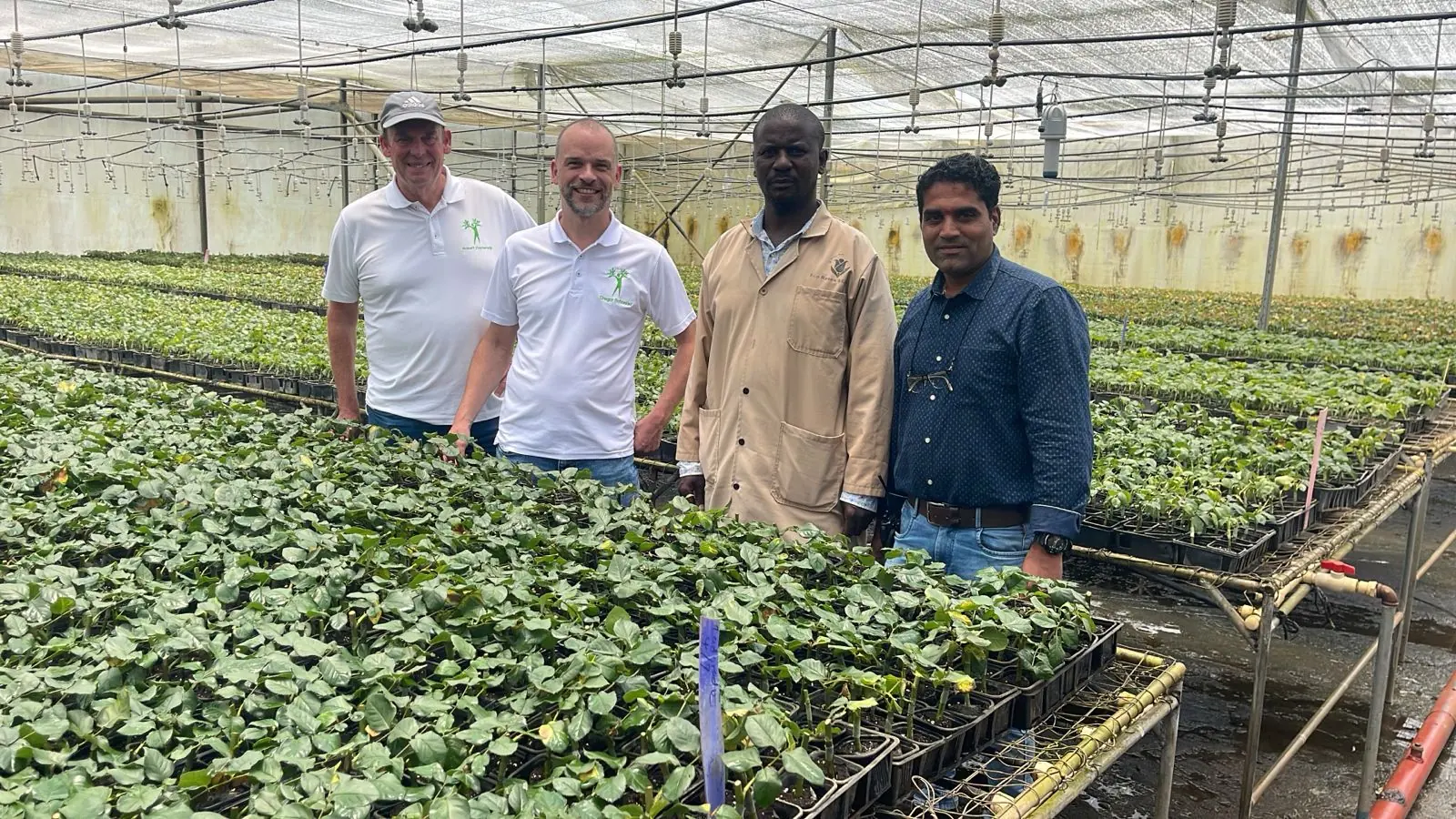 Team von B+H Solutions mit Partnern bei der Begutachtung von Jungpflanzen im Gewächshaus