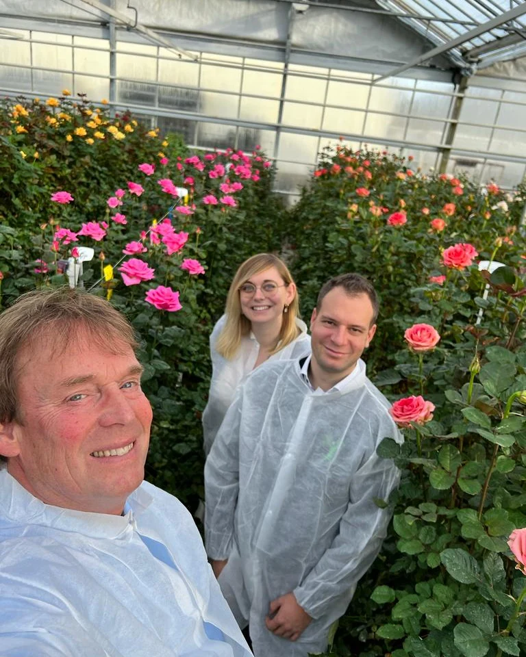Team von B+H Solutions in einem Rosengewächshaus