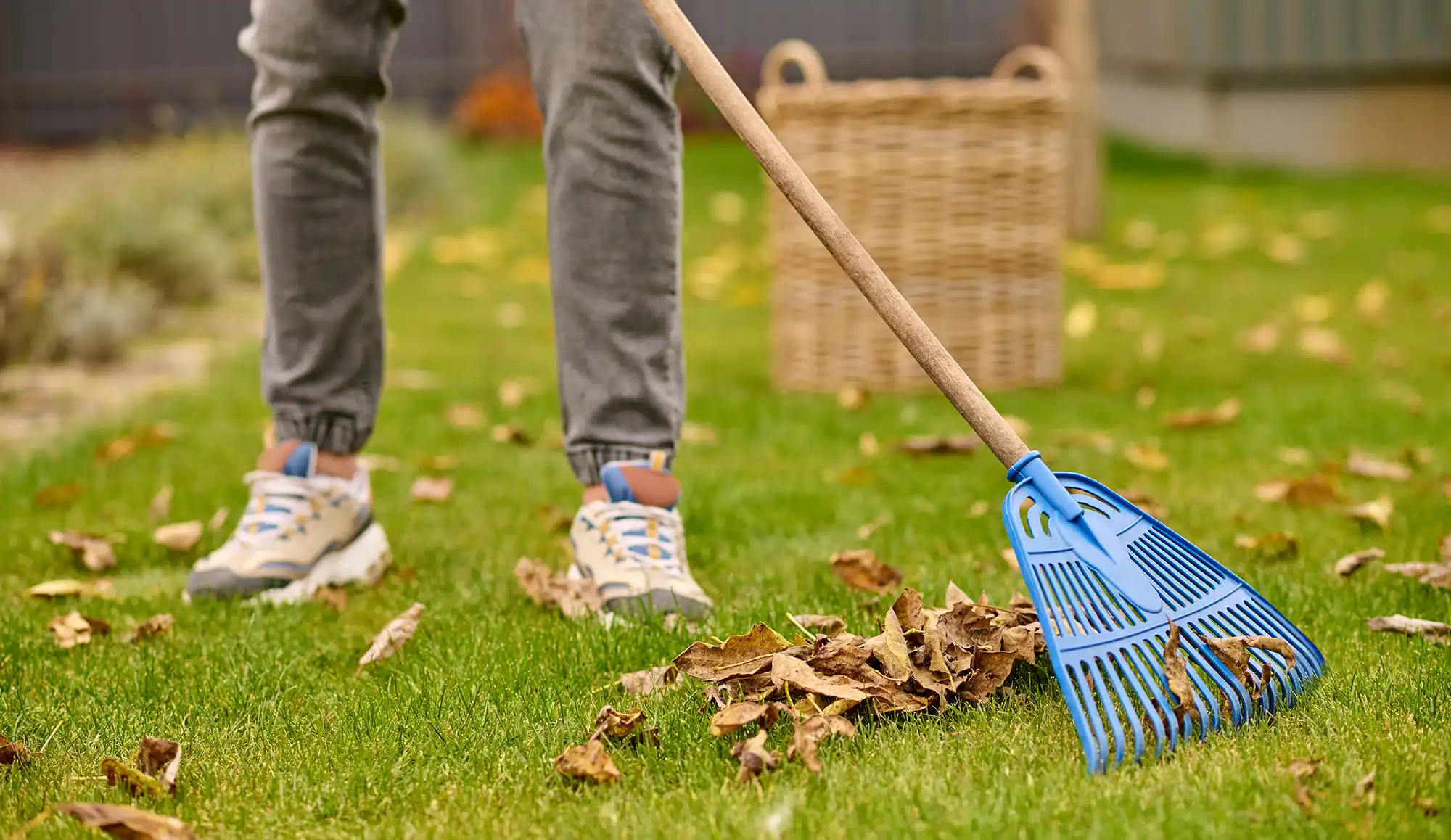 Residential Cleaning