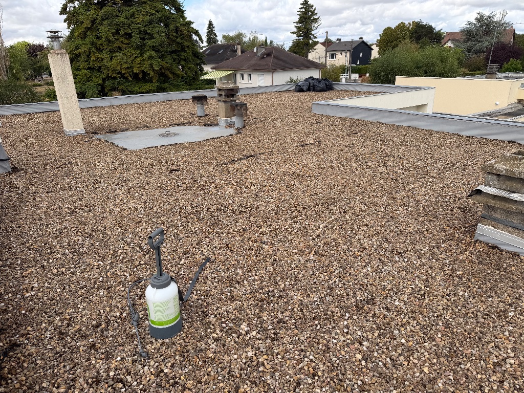 Nettoyage et démoussage de toiture terrasse gravillonnée à Bourges