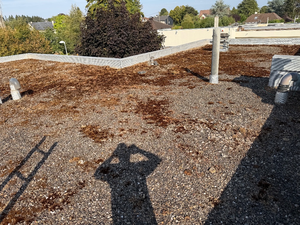 Avant : Nettoyage et démoussage d'une toiture terrasse gravillonnée à Bourges
