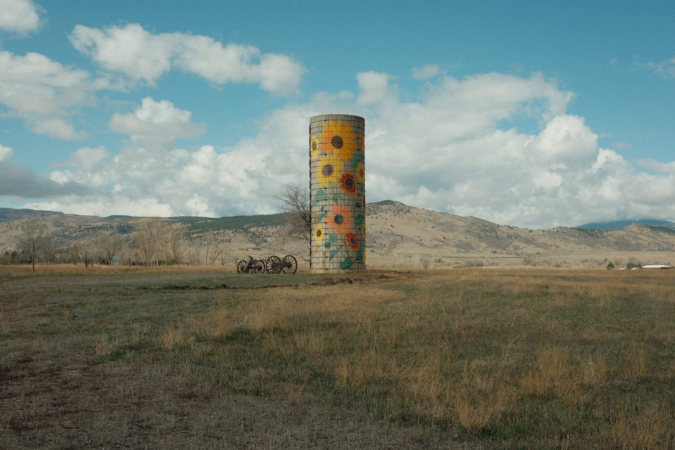 Sunflower-painted grain silo standing in a Colorado field