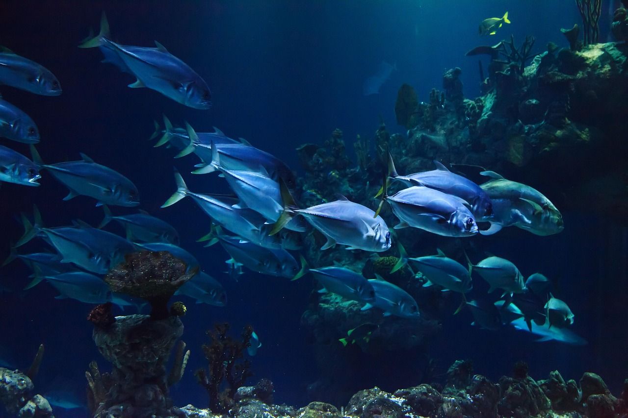 Dallas World Aquarium