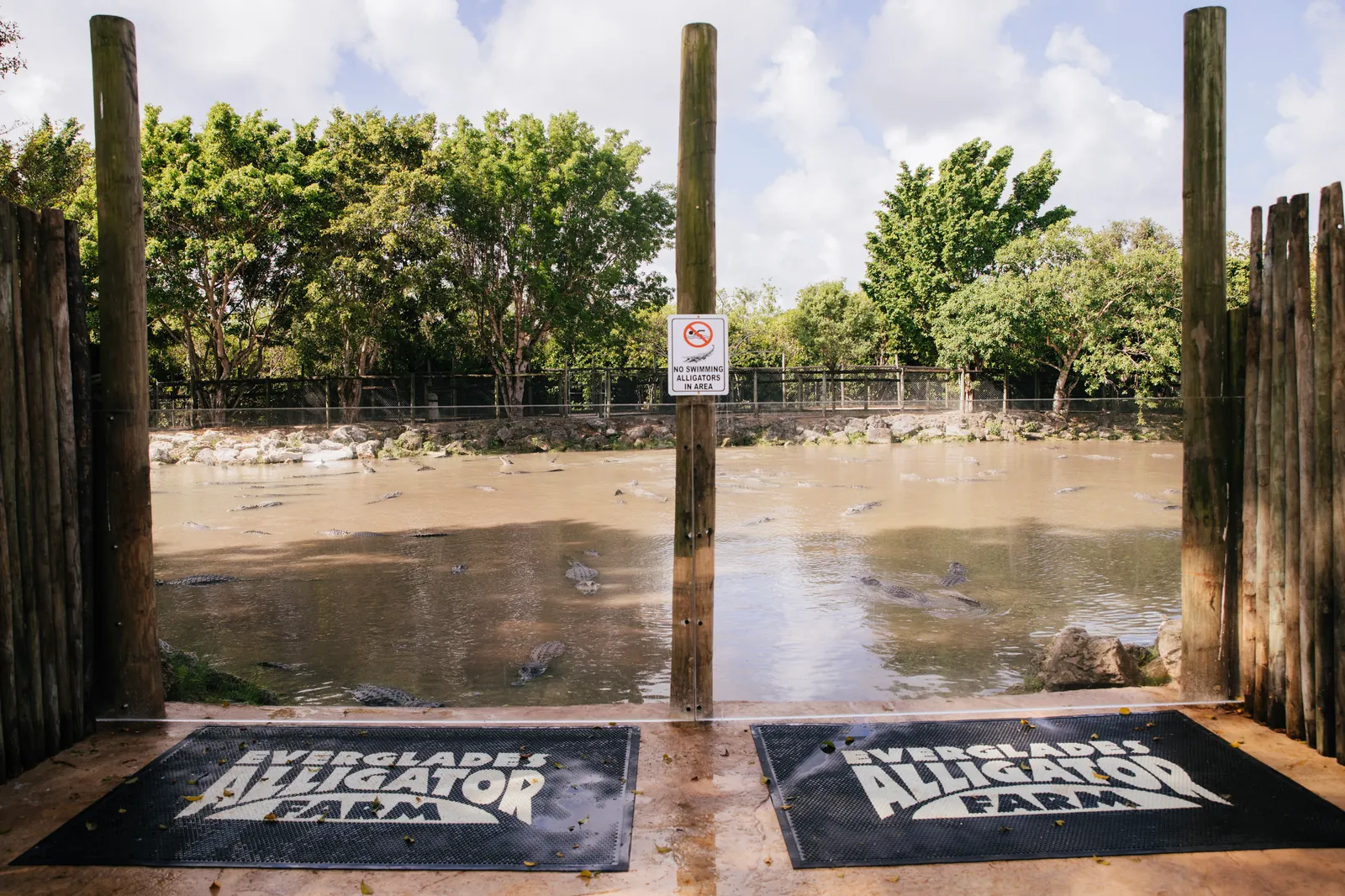 Viewing deck with Everglades Alligator Farm mats overlooking the alligator pond