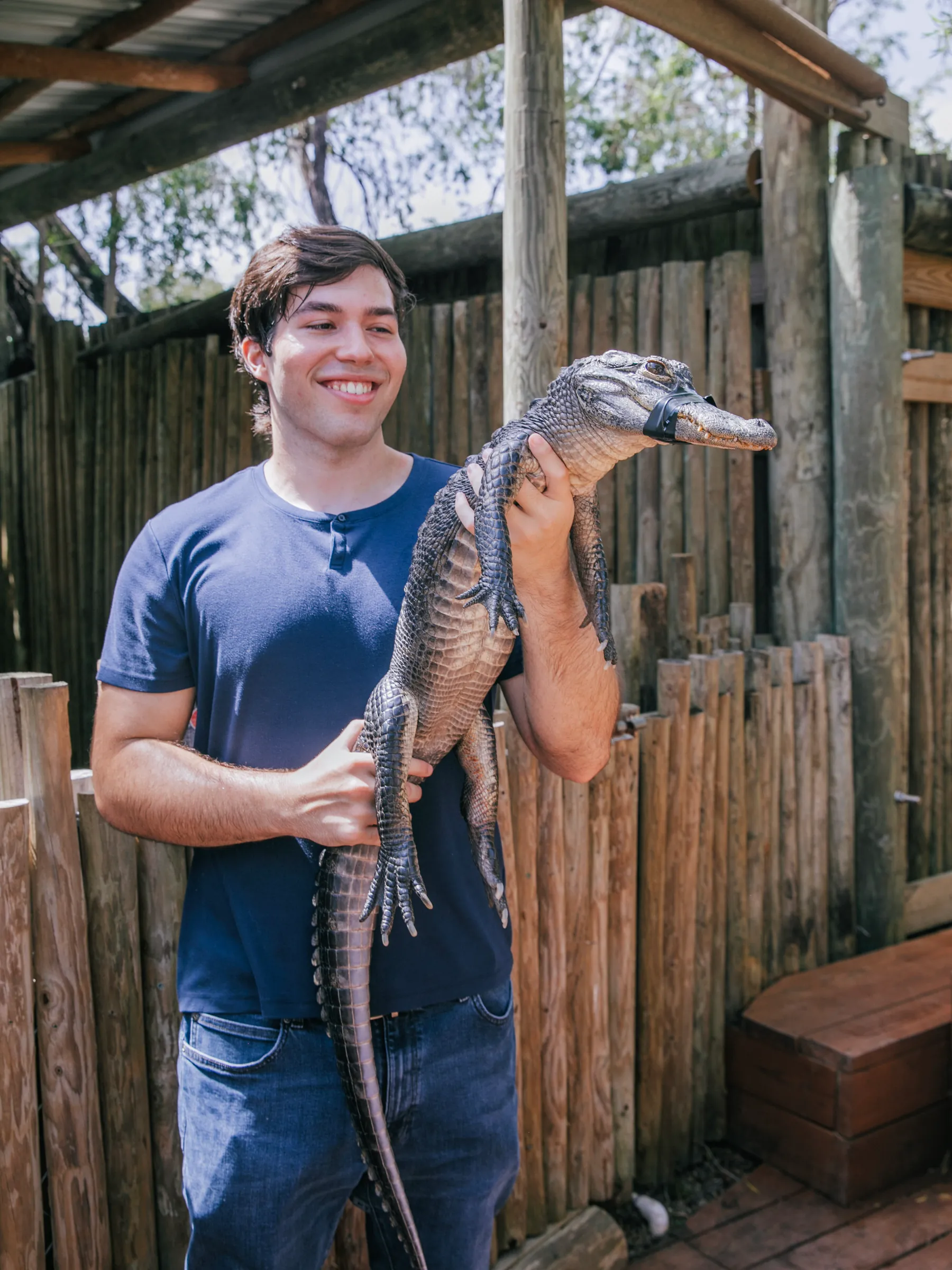 Guest smiling while holding an alligator during a private group tour at Everglades Alligator Farm