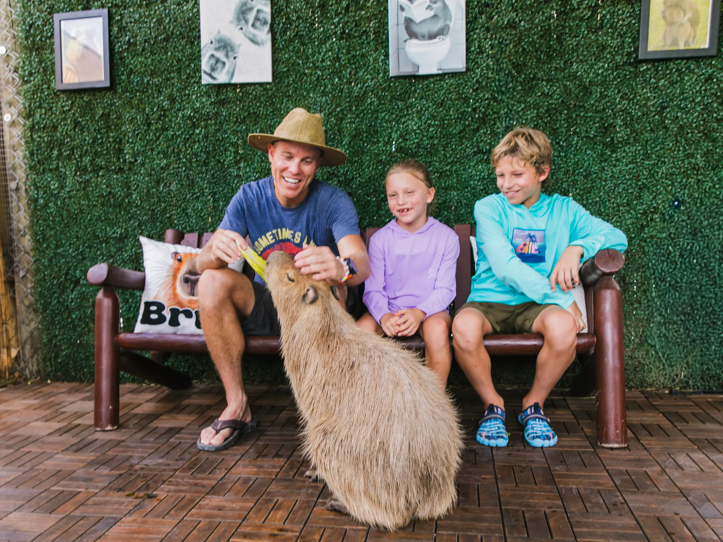 Children laughing as a capybara stands up to take lettuce from their father at Everglades Alligator Farm