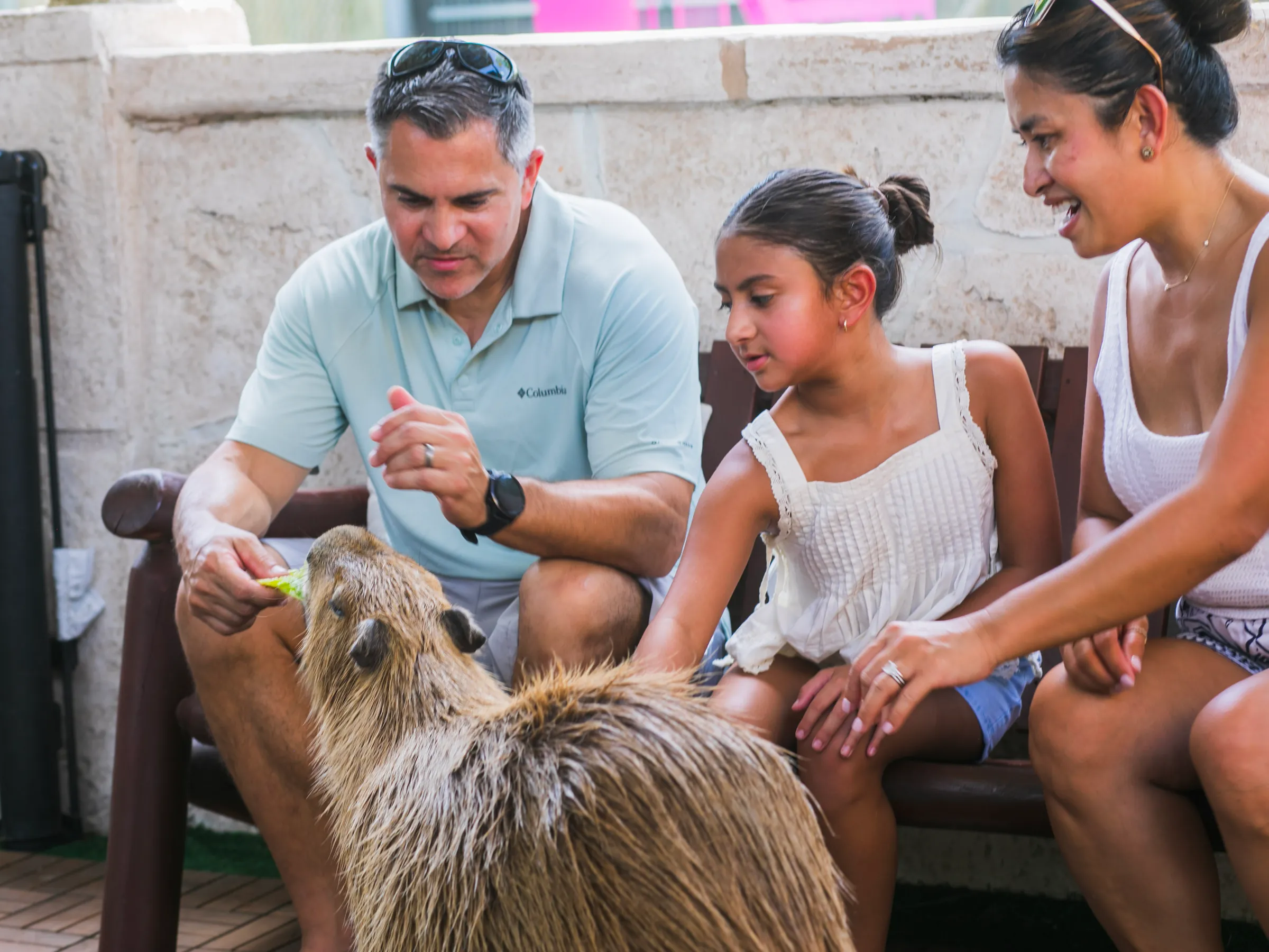 Father and daughter hand feeding a capybara up close during the VIP Experience at Everglades Alligator Farm
