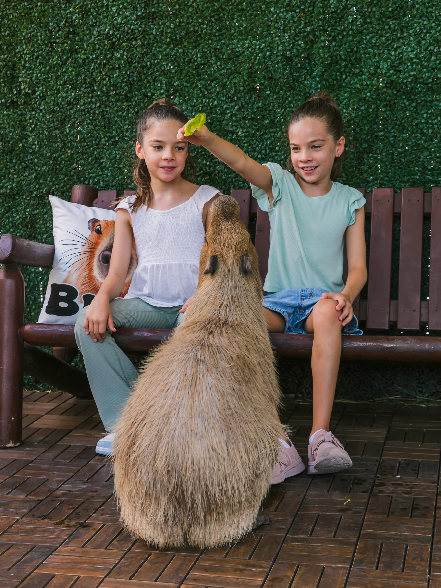 Two girls playing with a capybara at the Capybara Encounter, one holding lettuce above its head