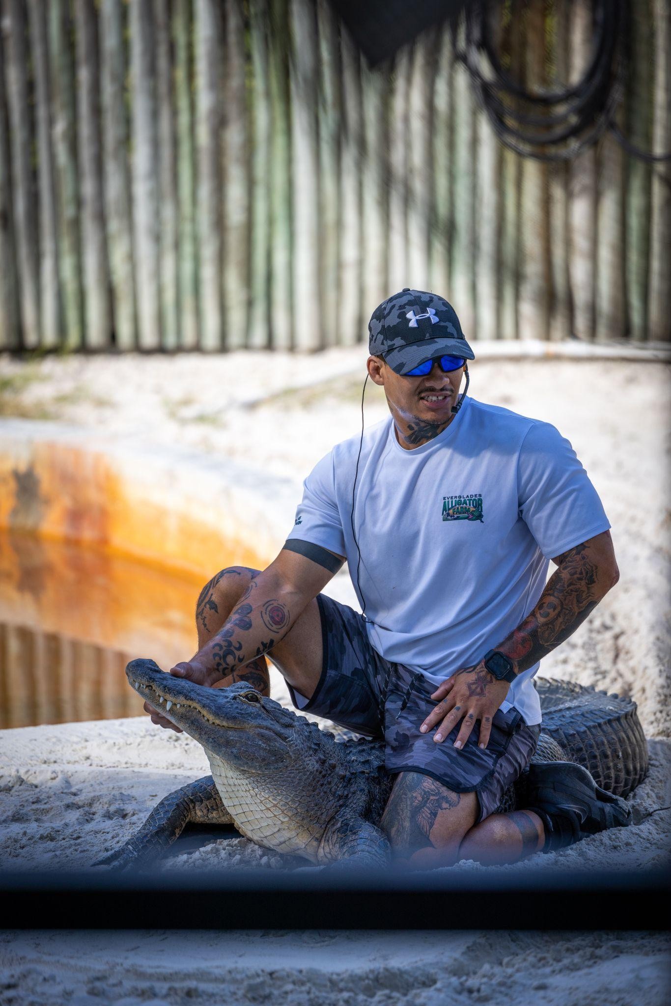 Animal team member holding an alligator during the handling show at Everglades Alligator Farm