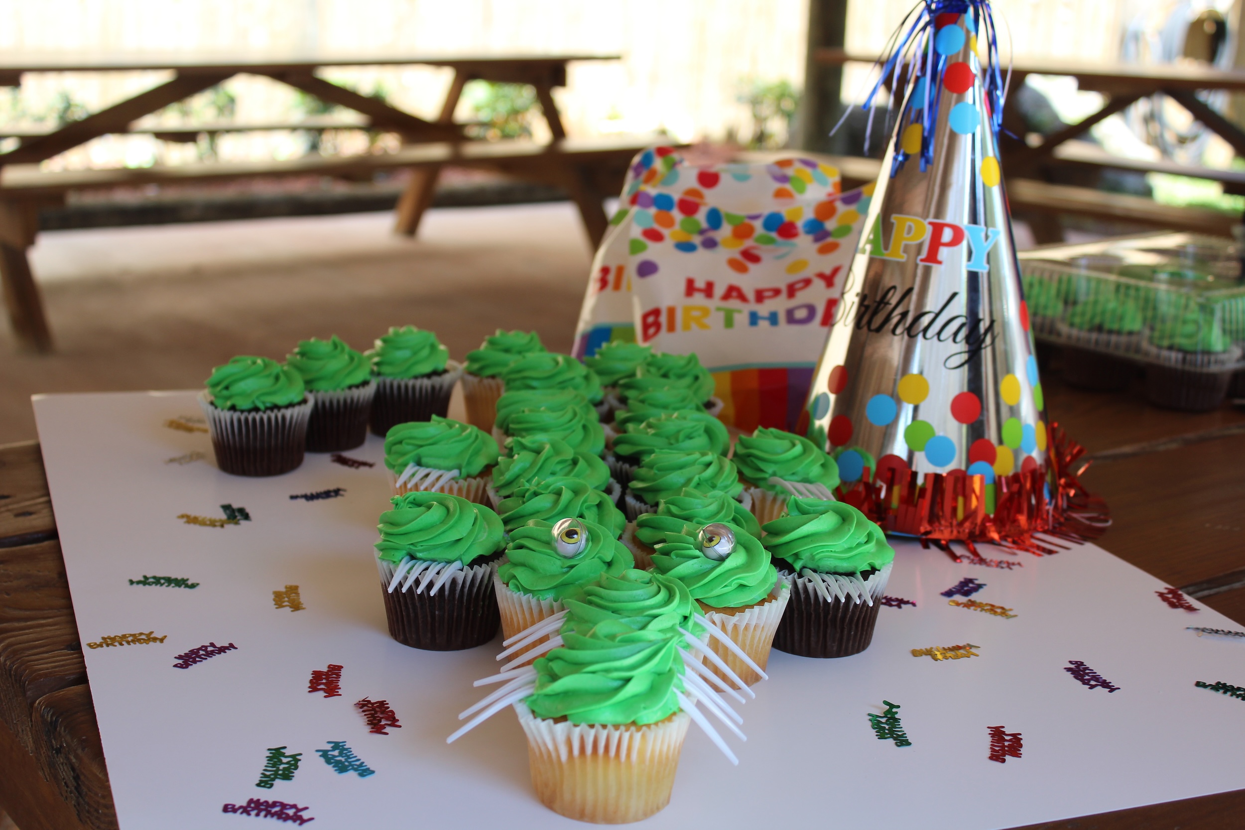 Alligator cupcakes with green frosting beside a Happy Birthday party hat at Everglades Alligator Farm