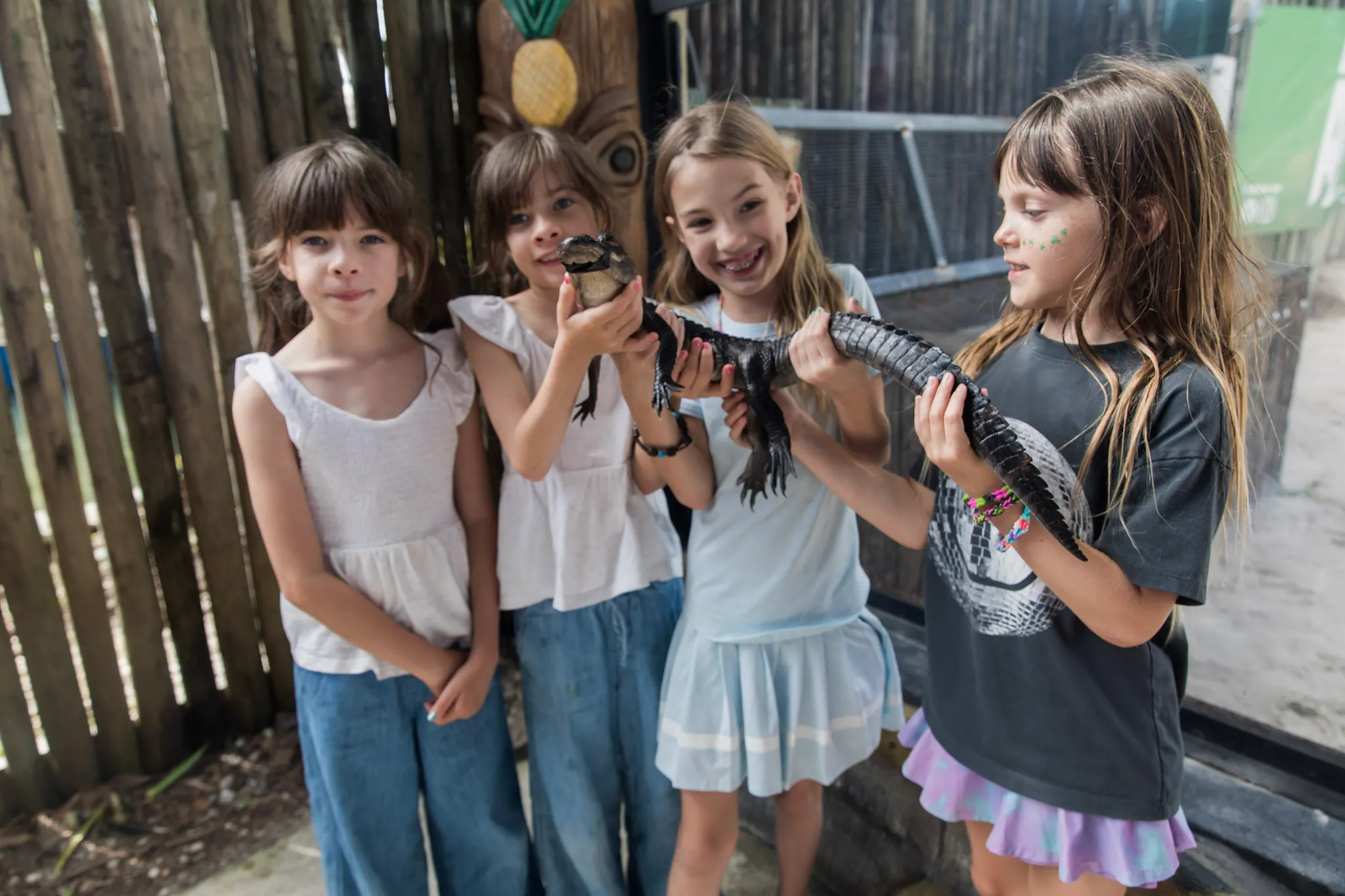 Four girls holding a young alligator together in the encounter area at Everglades Alligator Farm