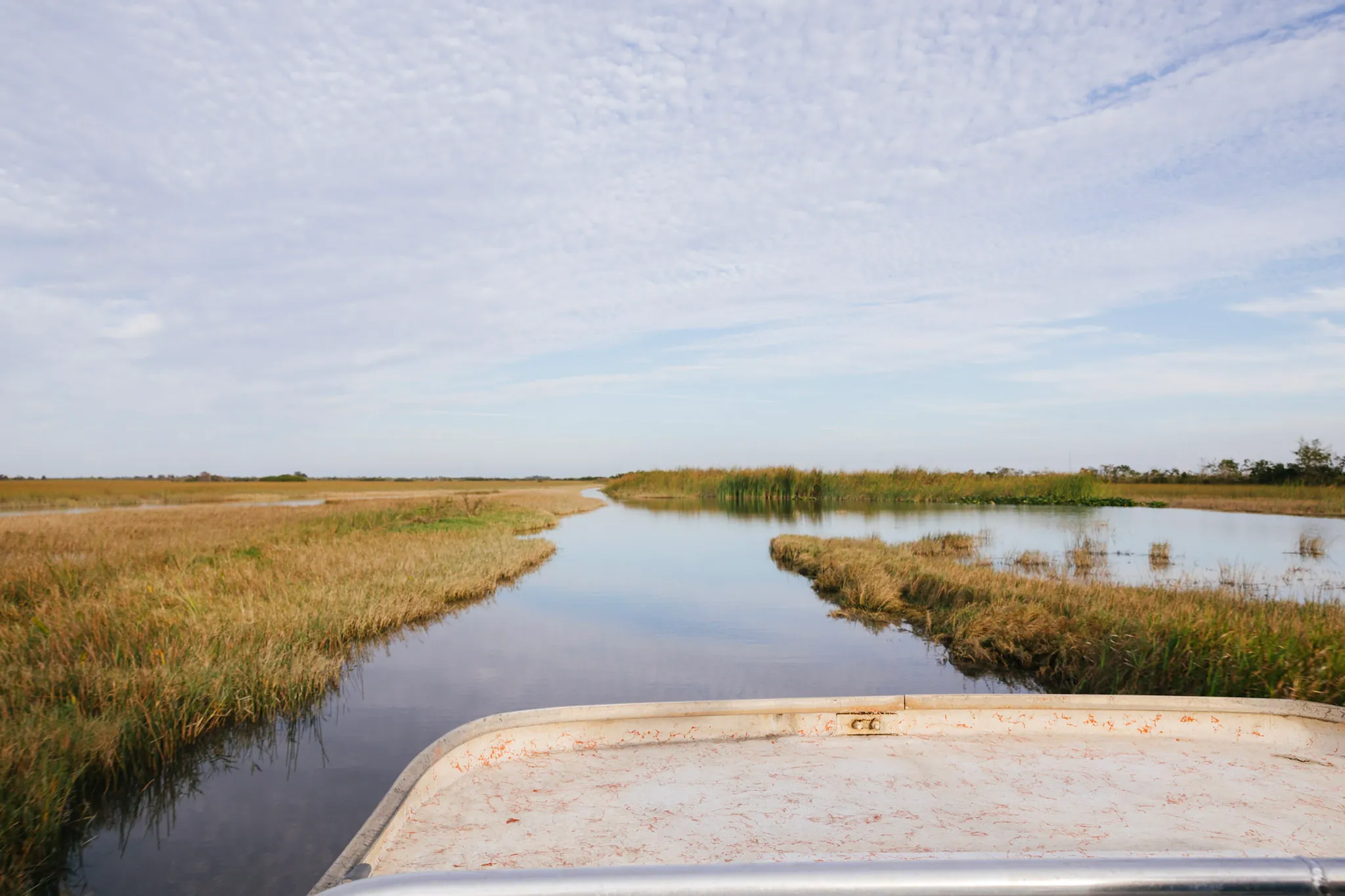 View from the front of an airboat heading down a channel through the Everglades sawgrass marsh