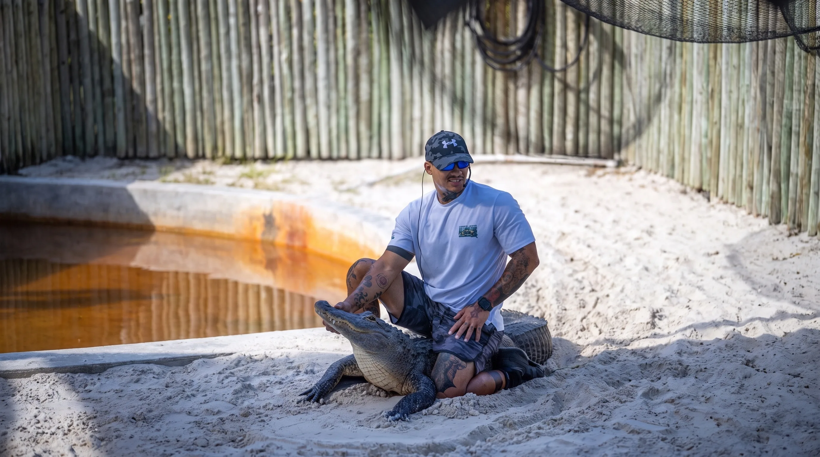 Animal team member sitting astride an alligator in the sandy show pit during the Alligator Handling Show at Everglades Alligator Farm
