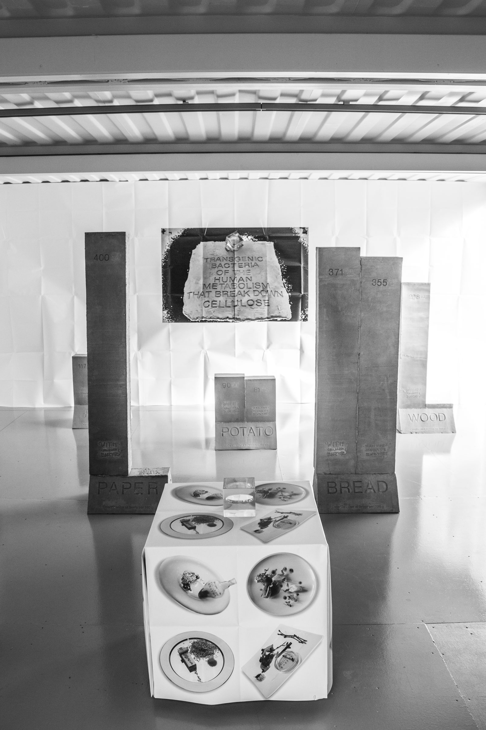 Instalācijas kopskats: uz sienas teksts angļu valodā par transgēnām baktērijām, priekšplānā metāla stabi ar uzrakstiem PAPER, POTATO, BREAD un WOOD, vidū balts postaments ar šķīvjiem