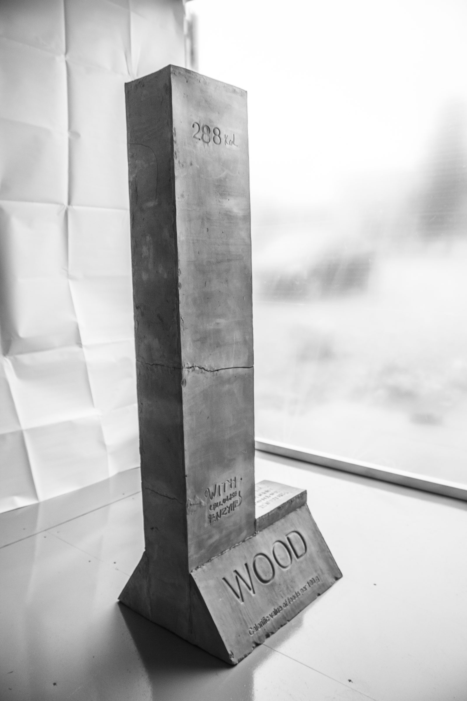 Betona kolonna ar uzrakstu WOOD