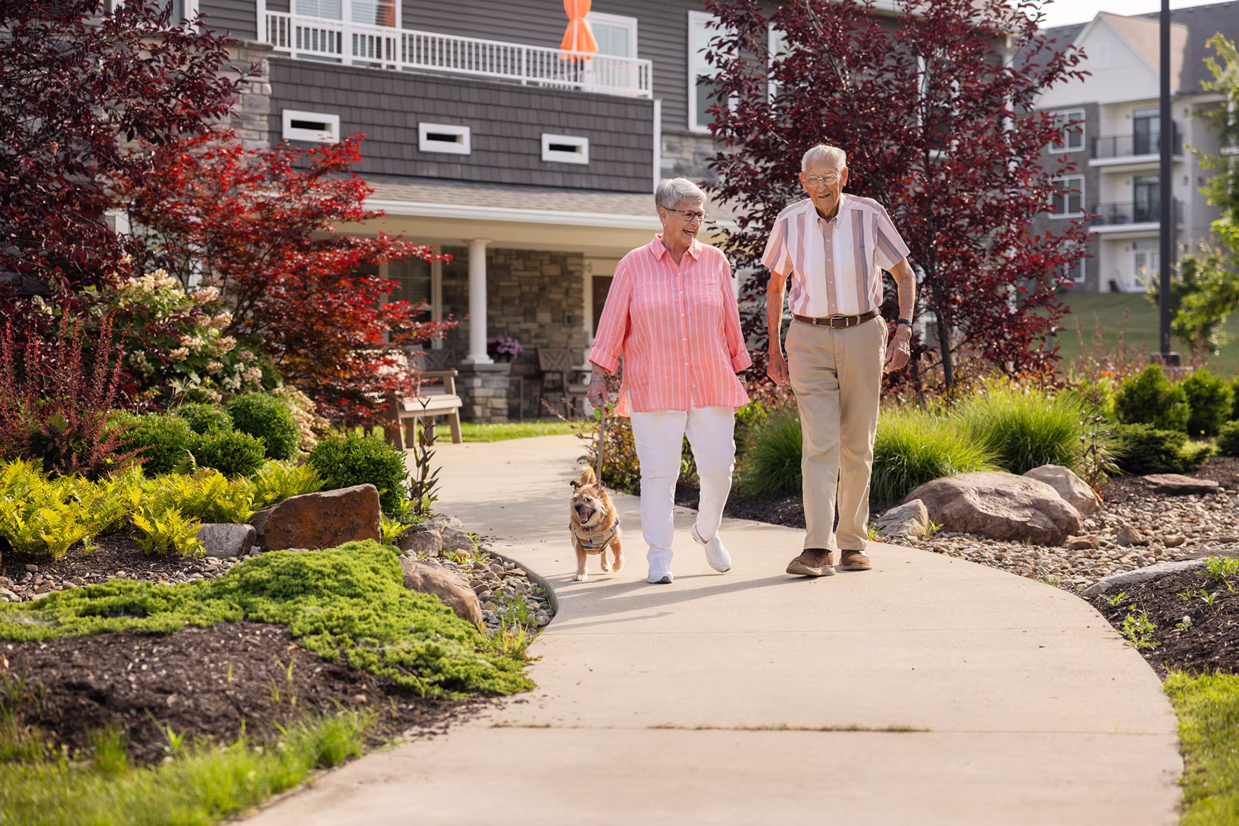 Elderly couple walking a small dog on a leash along a curved sidewalk in a well-maintained residential area with bushes, trees, and houses in the background.
