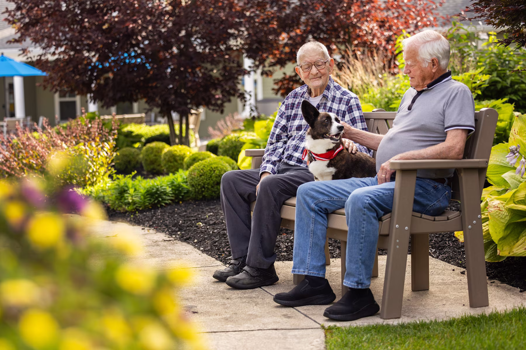 Two elderly men sitting on a bench in a garden, one holding and petting a black and white dog wearing a red collar, surrounded by lush green plants and trees.