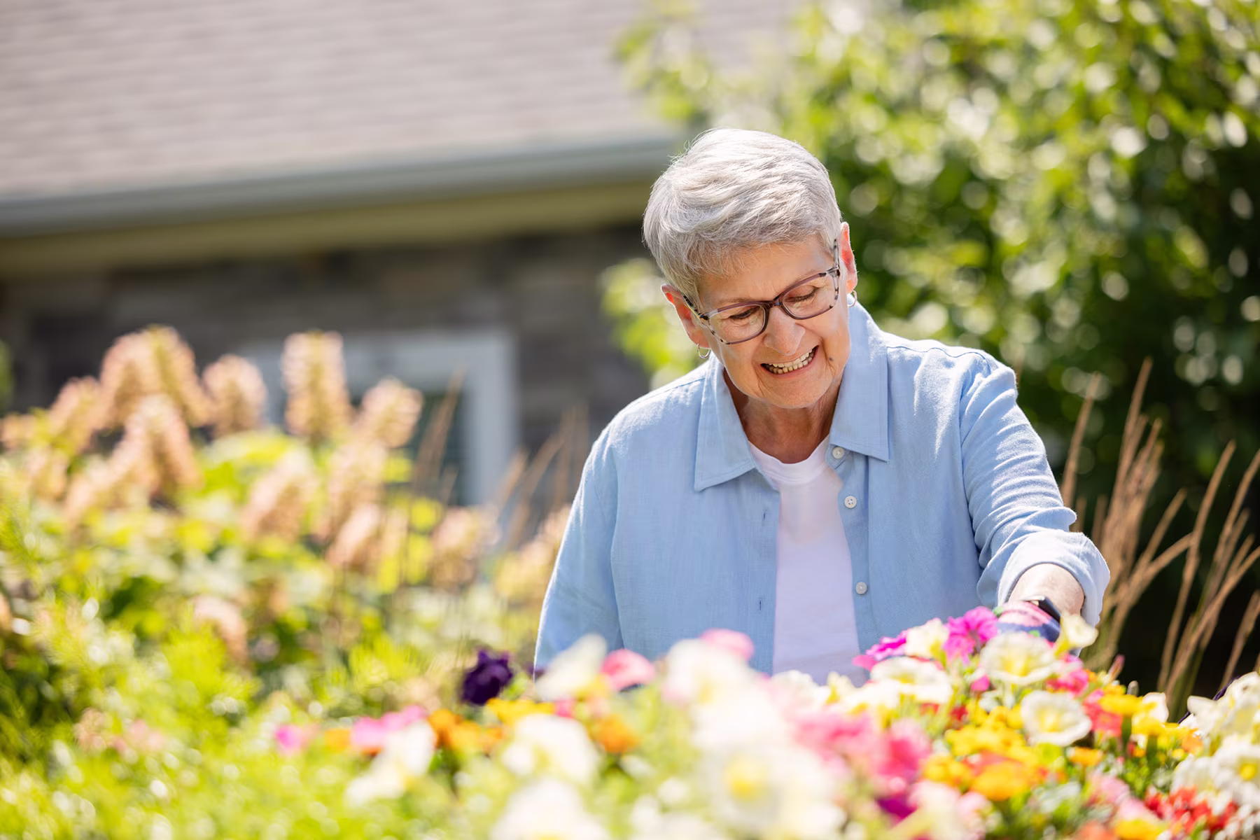 Smiling elderly woman with short gray hair and glasses, wearing a light blue shirt, tending to colorful flowers in a garden on a sunny day.